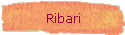 Ribari