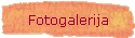 Fotogalerija