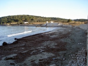 bilinzal