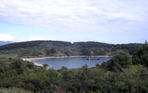 przina
