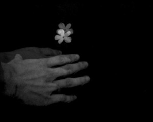 flor-de-la-alhambra