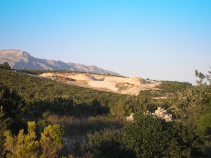 kokojevica
