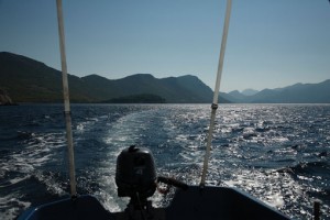 cvjetanovic u tri Volta