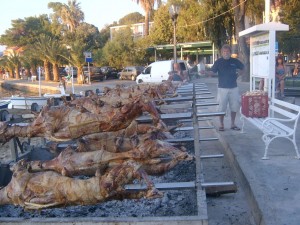 Ovo je najbolja riba